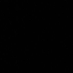 Meet your Posher, Kyree